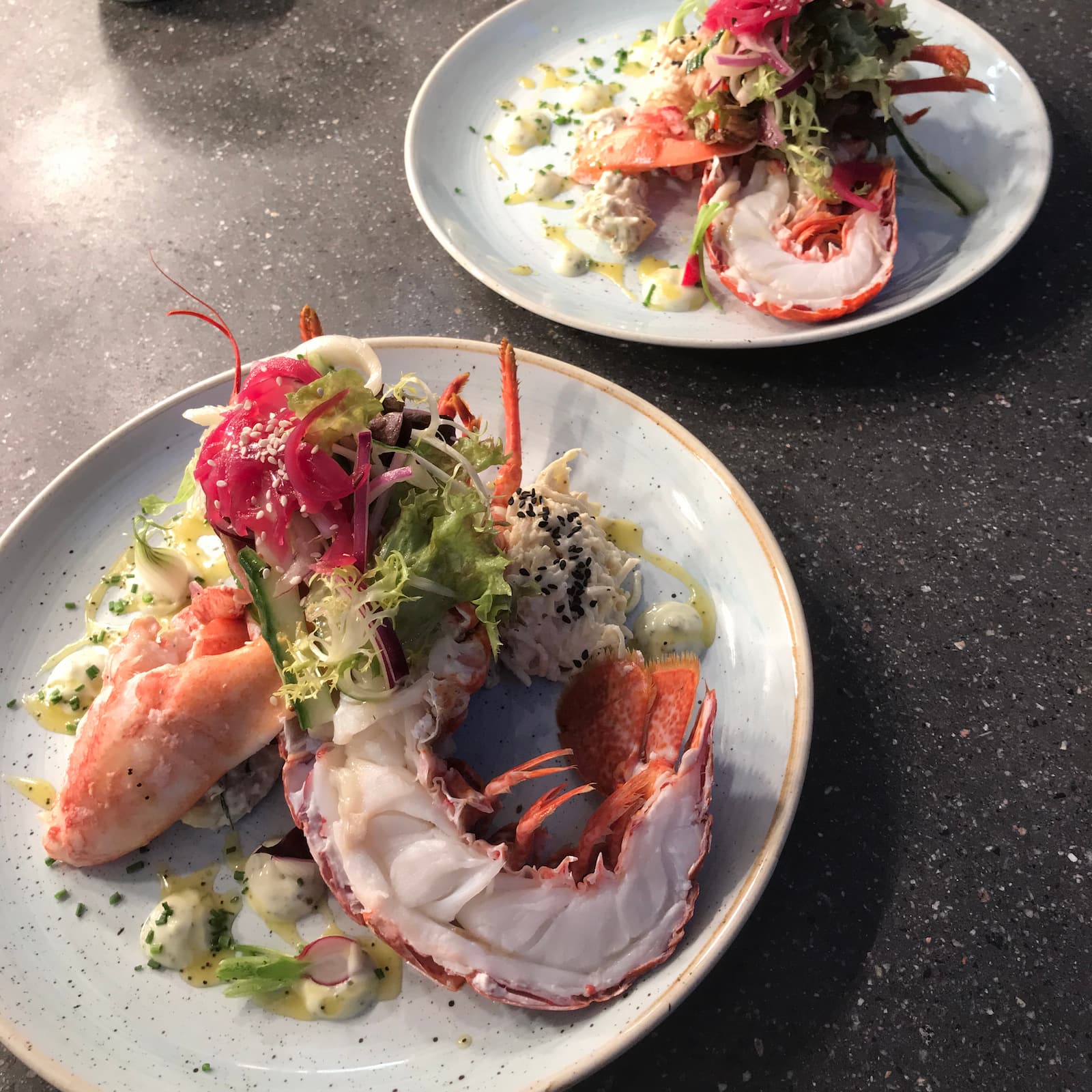 Fresh lobster salad beautifully plated with mixed greens and vibrant dressing