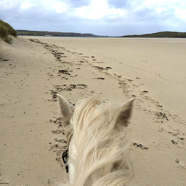 Horse riding along the scenic Ardroil Sands near Uig Lodge, offering a memorable outdoor experience on the Isle of Lewis.